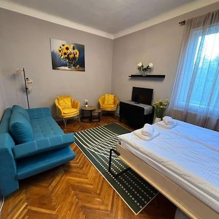 Sunflower Apartment クルージュ＝ナポカ エクステリア 写真